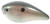 Strike King - Kvd Squarebill Crankbait - 2.25in 1/2oz Grn Gizz Shd - HCKVDS1.5-568