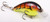 Strike King - Kvd Squarebill Crankbait - 2.25in 1/2oz Grn Tomato - HCKVDS1.5-569