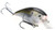 Strike King - Kvd Squarebill Crankbait - 2.25in 1/2oz Nat Shad - HCKVDS1.5-699