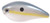 Strike King - Kvd Squarebill Crankbait - 3in 5/8oz Sexy Shad - HCKVDS2.5-590