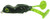 Scumfrog - Little Big Foot Frog - 5/16oz Black/green Legs - LBF-1522