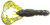 Strike King - Rage Tail Craw - 4in 7bg Candy Craw - RGCRW-130