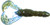 Strike King - Rage Tail Craw - 4in 7bg Okeechobee Craw - RGCRW-50