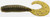 Zoom - Fat Albert Grub - 3in 10bg Green Pumpkin - 011-025