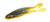 Zoom - Horny Toad - 4.5in 5bg Wtrmln Craw - 083-186