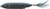 Snagproof - Zoo Dog Walkin Bait - 4.25in 3/5oz Black -