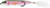 Snagproof - Zoo Dog Walkin Bait - 4.25in 3/5oz Rainbow Trt -