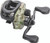 Lews - American Hero Camo S - Baitcast 6bb 7.5:1 Lh -