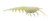 A Band Of Anglers - Floating Natural Shrimp - 4in 3pk 1hk-glow - HYLSNS4FLGLO