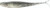 Z-Man - Scented Jerk Shadz - 3.5in 5pk Bad Shad - Z-Man - Scented Jerk Shadz - 3.5in 5pk Bad Shad -