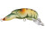 Rebel Lures - Wee Crawfish - 2in 1/5oz Rusty Craw -
