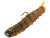 Rebel Lures - Cata Crawler - 2in 6pk 3jh Brown Sphinx -