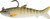 Vudu - Vudu Hot Mullet - 4.5in 1/2oz Injur Mullet -