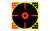 Birchwood Casey Shoot-N-C Target  Round  Crosshair Bullseye  12" 5 Targets BC-34015