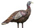 Avian X AVXAVX8006 LCD Lookout Hen Turkey Species Multi Color DuraRubber - AVXAVX8006