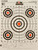 Champion Targets 45726 Score Keeper  Bullseye Paper Hanging 100 yds PistolRifle 14 x 18 MultiColor 12 PK - 45726