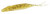 Zoom 154462 4" Winged Fluke, 6pk - Champagne Pepper Pearl - 154462 Zoom 154462 4" Winged Fluke, 6pk - Champagne Pepper Pearl - 154462