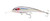 Nomad - Dtx Minnow 145 Shallow 5 3/4in 2oz 10ft Bleedin -