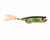 Snagproof - Zoo Pop Topwater Bait 2.75in 3/8oz Ayu -