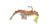 Vudu - Vudu Shrimp Jr 3in 1/8oz 2pk Cop Penny/ -