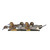 Avian-x Topflight Pintails Duck Decoys 6/ct - AVX-AVX8082