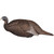 Flextone Thunder Chick Breeder Decoy -  - FLX-FLXDY331