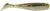 DOA 80419 C.A.L. Shad Tail, 3" - Green Back, 12/Pack - 80419 DOA 80419 C.A.L. Shad Tail, 3" - Green Back, 12/Pack - 80419