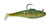 Vudu E-VSH30-14-08 Shad, 3", 1/4 oz - 3/Pk Greenback - E-VSH30-14-08 Vudu E-VSH30-14-08 Shad, 3", 1/4 oz - 3/Pk Greenback - E-VSH30-14-08