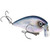 Strike King HCKVD2.5W-681 HC KVD - 2.5 Wake Bait , Pro Blue - HCKVD2.5W-681