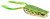 Spro SBEPP60NTRL Dean Rojas - Bronzeye Popper Frog 60, 2-1/2" - SBEPP60NTRL