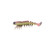 Z-Man - Prawnstarz Loose Body - 3.5in 3pk Laguna Shrimp -