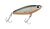B & L Bait Company - Soft Dine Xl Shallow Diver - 3.25in 5/8oz Blk/gld/org -