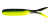 1Standard - 1Standard 2" 6pk Minnow1 - BlackCharty