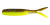 1Standard - 1Standard 2" 6pk Minnow1 - Beast