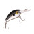 Arkie 220 Series Crankbait - Black Shiner