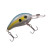 Arkie 350 Series Crankbait - Sexee Shad