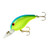 Bandit 200 - Chartreuse Blue Back