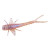 Bobby Garland Mayfly 50pk - Mayfly Bobby Garland Mayfly 50pk - Mayfly