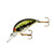 Bomber Model A - Baby Bass Orange Belly 4-6'