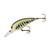Bomber Model A - Baby Bass Orange Belly 8-10'