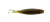 Yamamoto 3" SCOPE SHAD / GREEN PUMPKIN (10 PACK)
