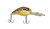 Head Hunter 1/2oz H12 Snazzy Eye Diver 10-12' - Rusty Craw