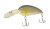 Head Hunter 3/8oz Rad Dad Medium Runner 4-7' - Ghost Shad