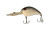 Head Hunter 3/8oz Rad Dad Medium Runner 4-7' - Shad
