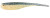 Jenko 3.5" Tremor Shad 5pk - Blueback