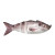 Lunkerhunt 4.5" Gambit Swimbait - Silver side