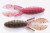 Missile Baits D Bomb 6ct - Pink Belly