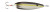 Nichols Lures - 6" Ben Parker Mini Magnum Spoon, Gizzard, 2.5oz