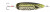 Nichols Lures - 8" Ben Parker Magnum Flutter Spoon, Sand Bass, 3.5oz