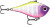 Rapala Rippin' Rap 06 - Moldy Fruit